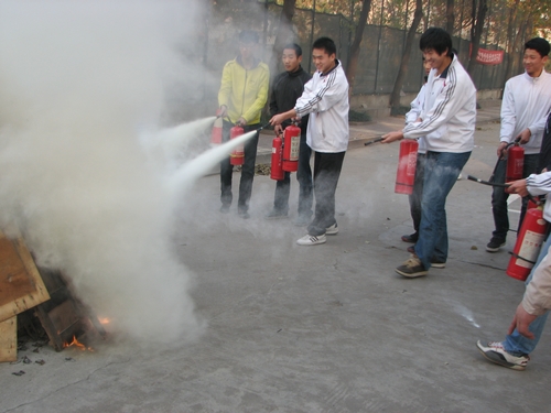 vsport体育指定入口图片