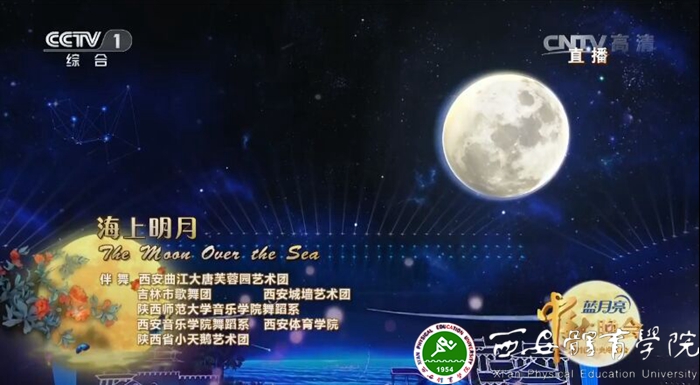 vsport体育数据中心