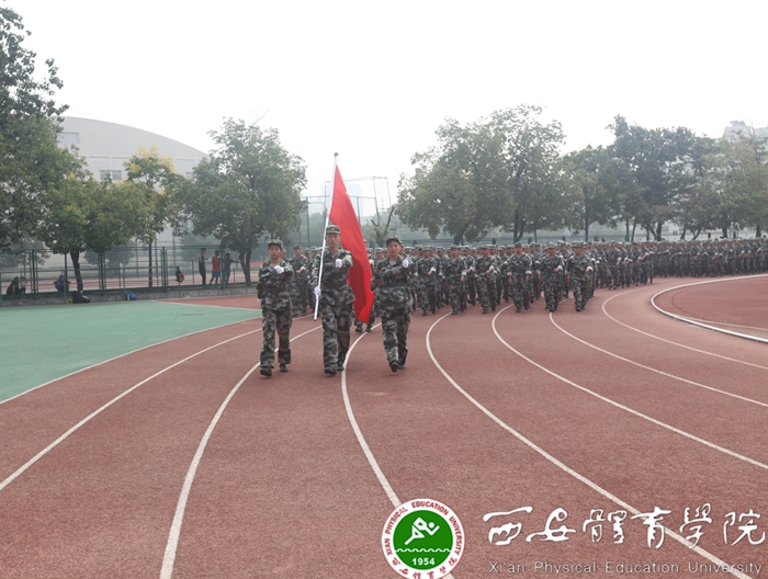 vsport体育数据中心