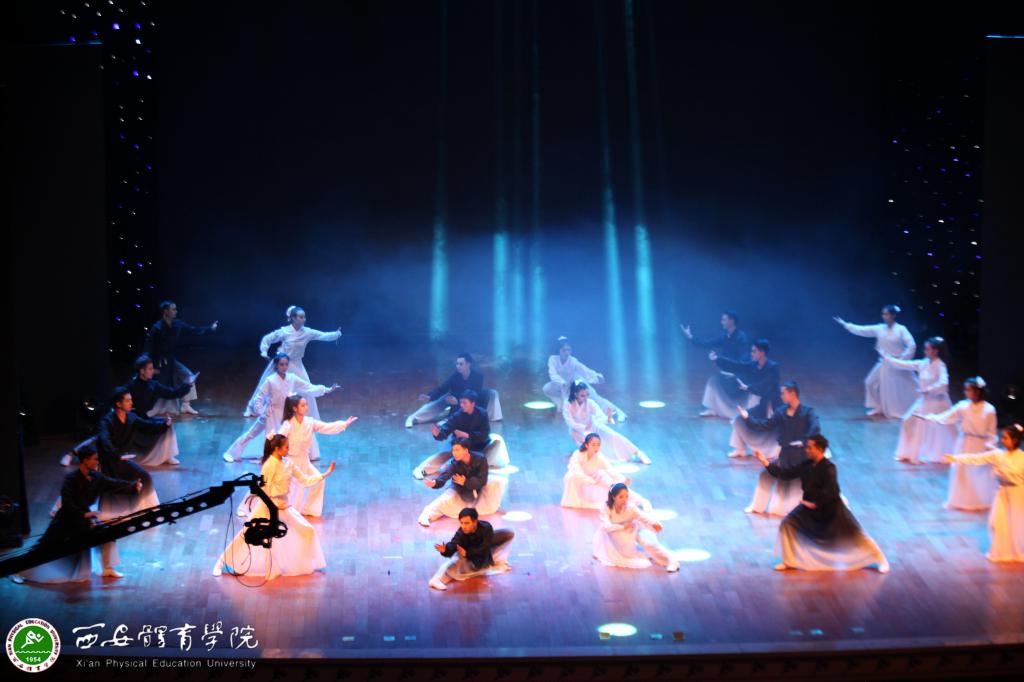 vsport体育互联系统图片