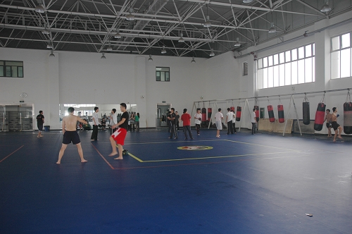 vsport体育官方线路图片