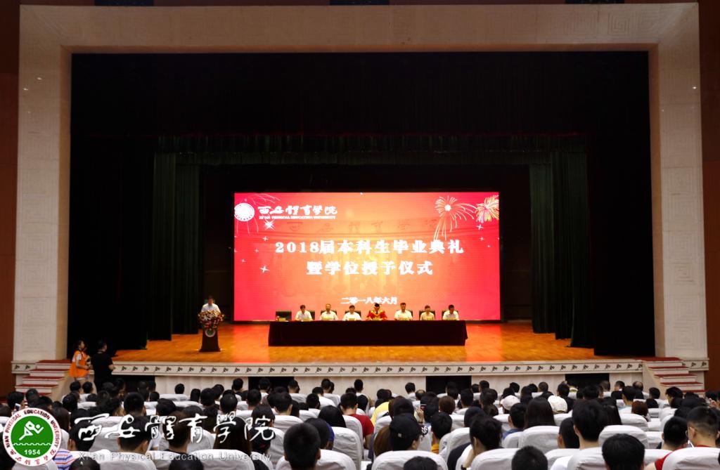 vsport体育数据中心图片