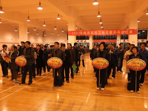 vsport体育互联系统图片