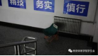 vsport体育加速节点