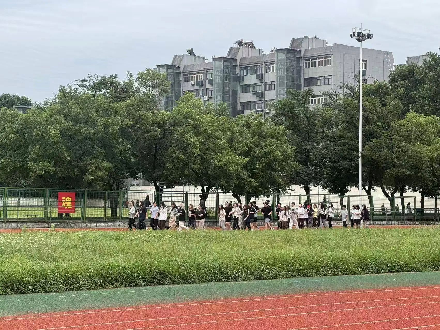 vsport体育备用网址