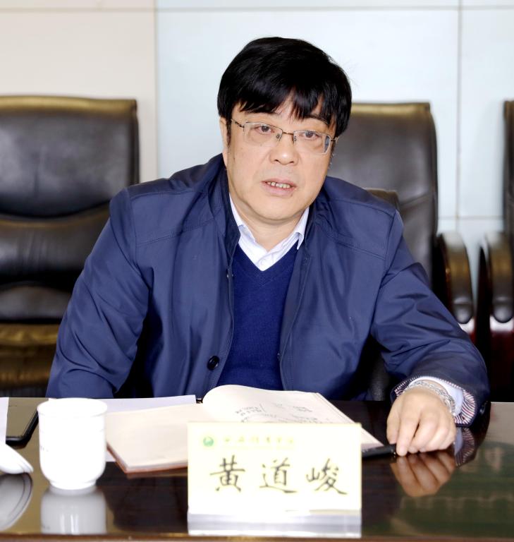 vsport体育安全通道图片
