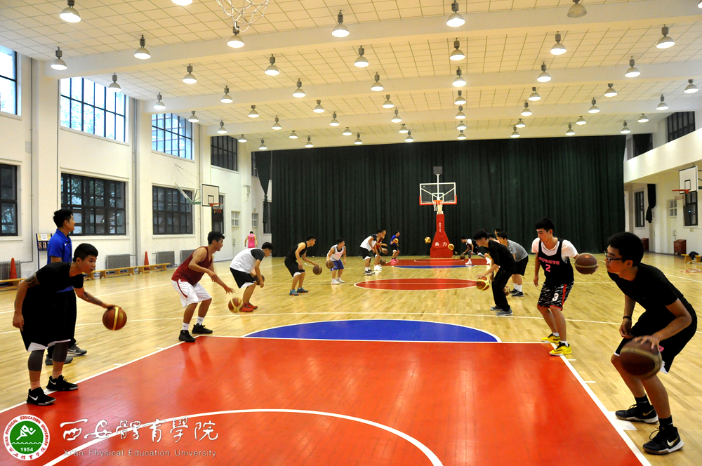 vsport体育数据中心图片