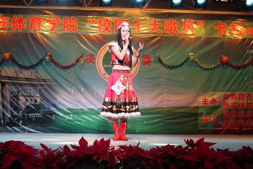 vsport体育平台图片
