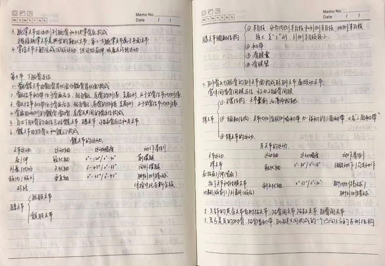 vsport体育欧洲杯