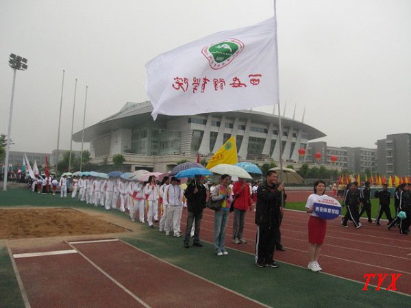 vsport体育手机版图片