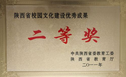 vsport体育官方线路图片