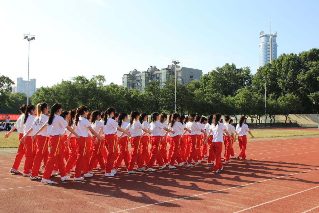 vsport体育官方指定端