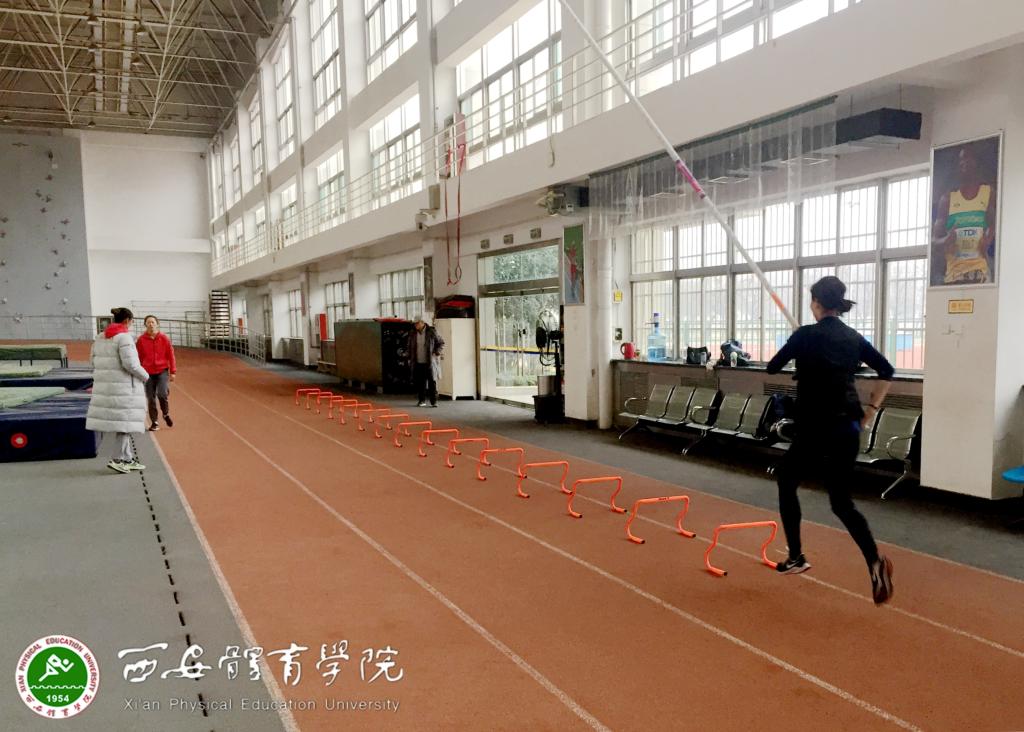 vsport体育安全通道图片