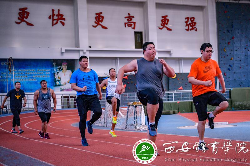vsport体育欧洲杯