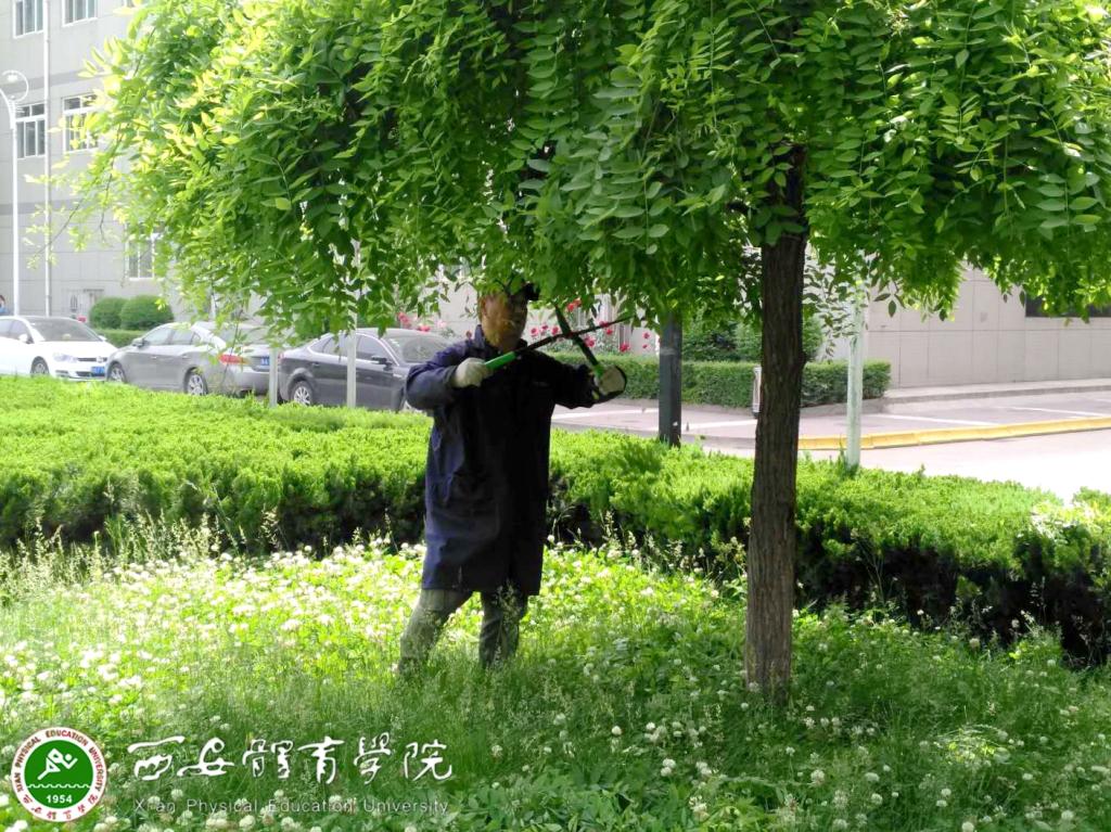 vsport体育数据中心图片