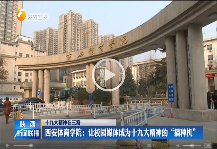 vsport体育稳定线路图片