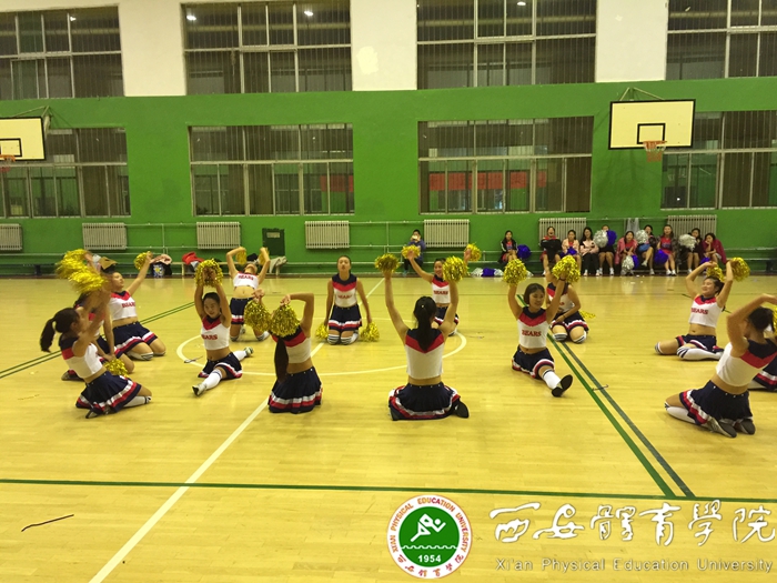 vsport体育体育频道