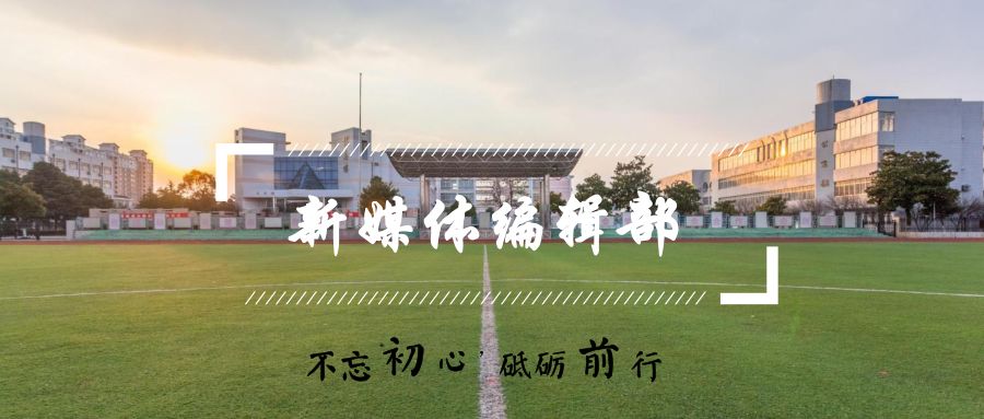 vsport体育APP下载