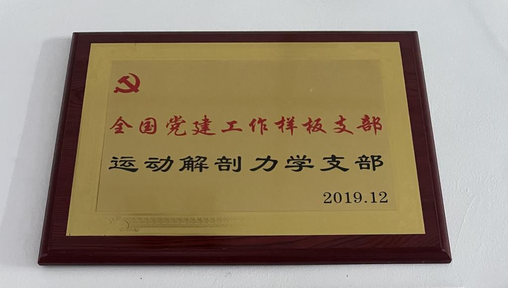 vsport体育安全通道