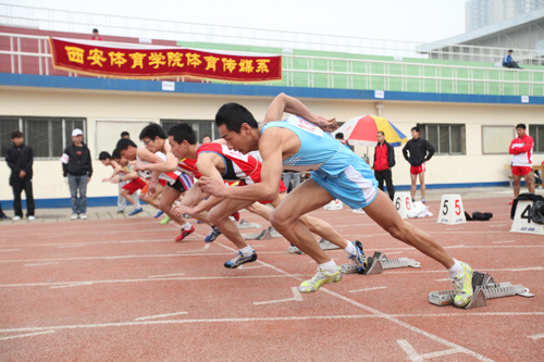vsport体育稳定线路图片