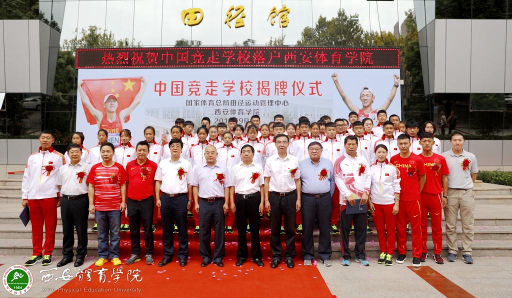 vsport体育互联系统图片