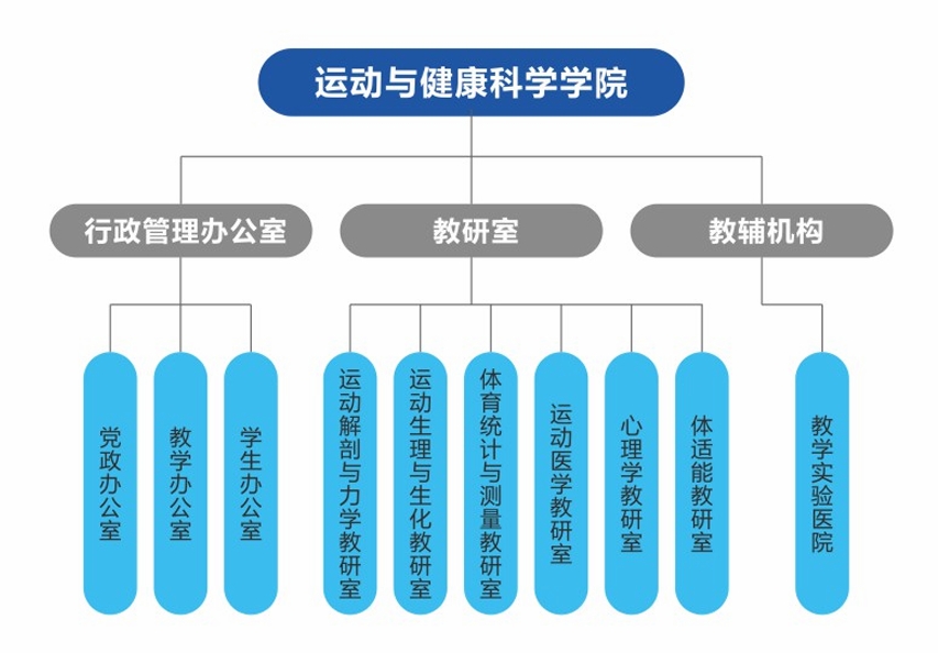 vsport体育官方线路