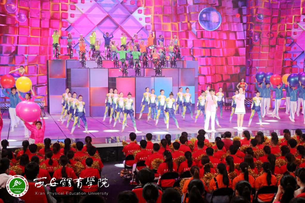 vsport体育官方线路图片