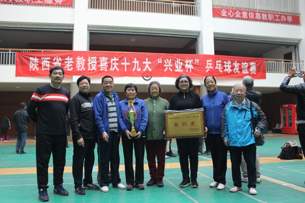 vsport体育稳定线路图片
