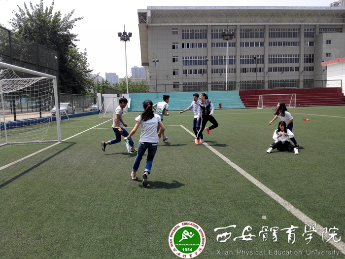 vsport体育体育频道