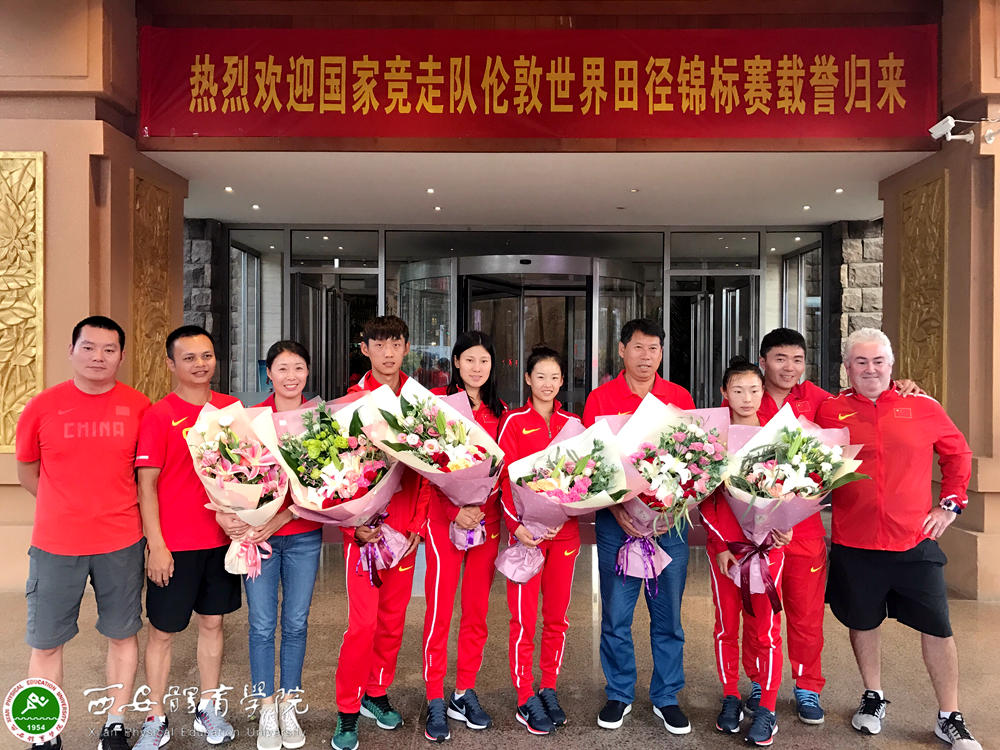 vsport体育稳定线路图片
