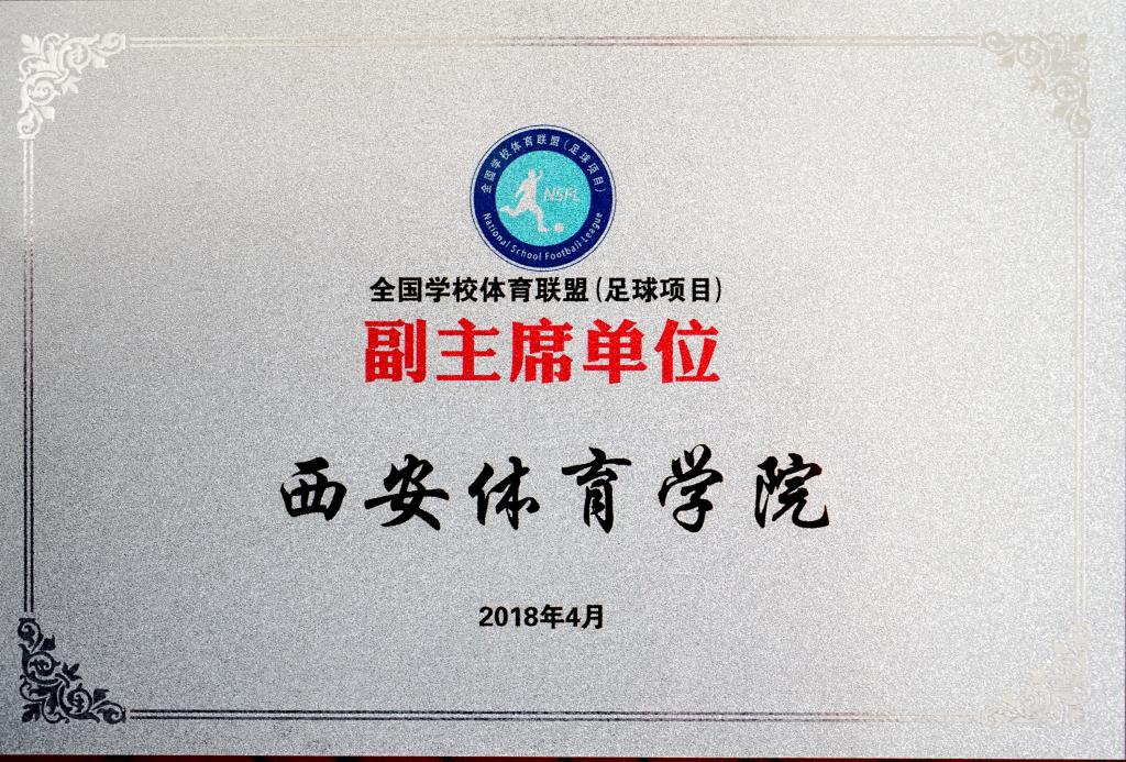 vsport体育指定入口图片