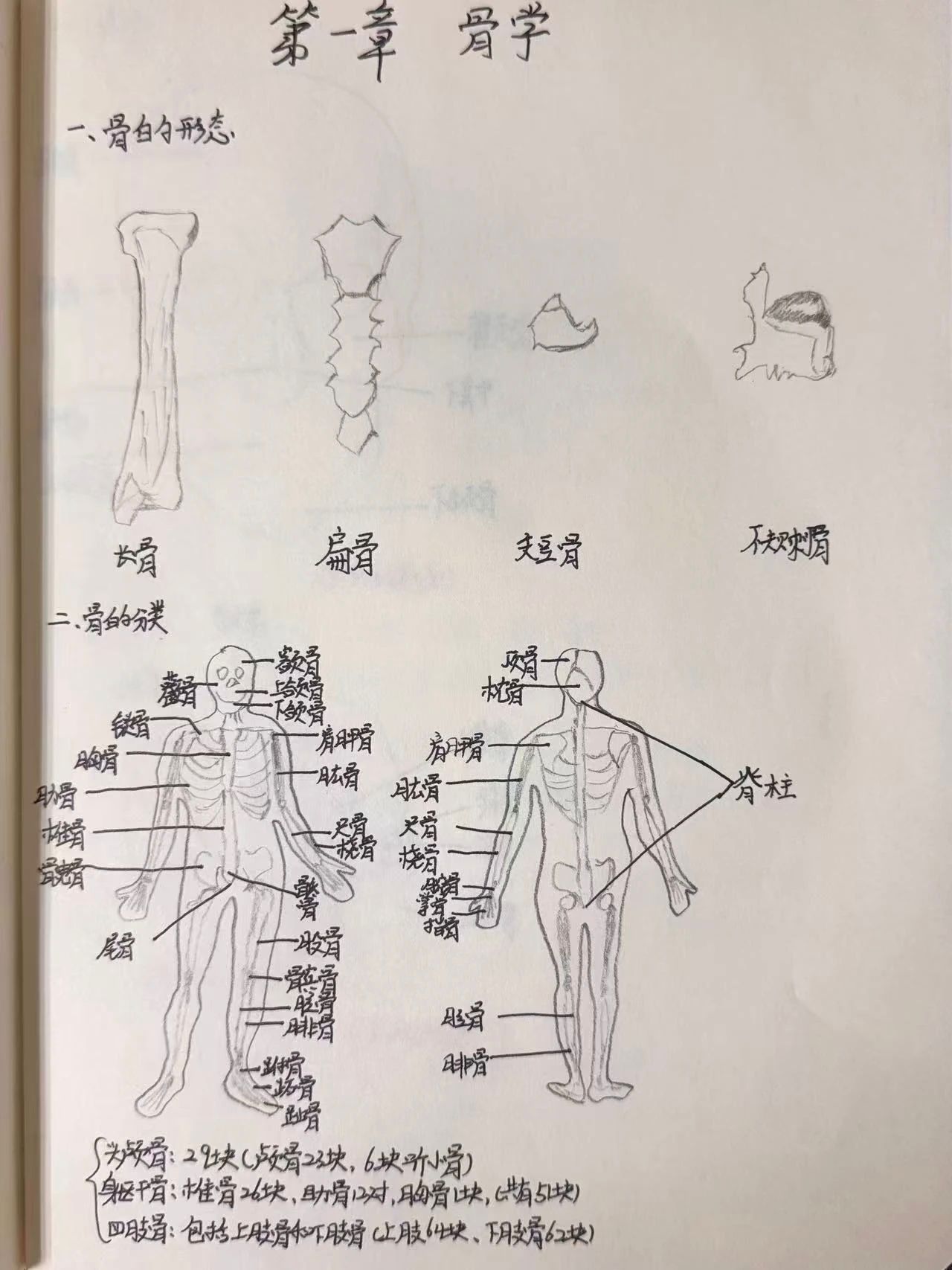 vsport体育稳定线路