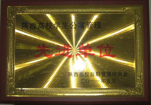 vsport体育备用网址图片