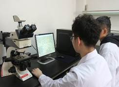 vsport体育官方指定端