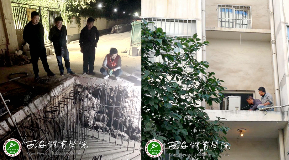 vsport体育备用网址图片