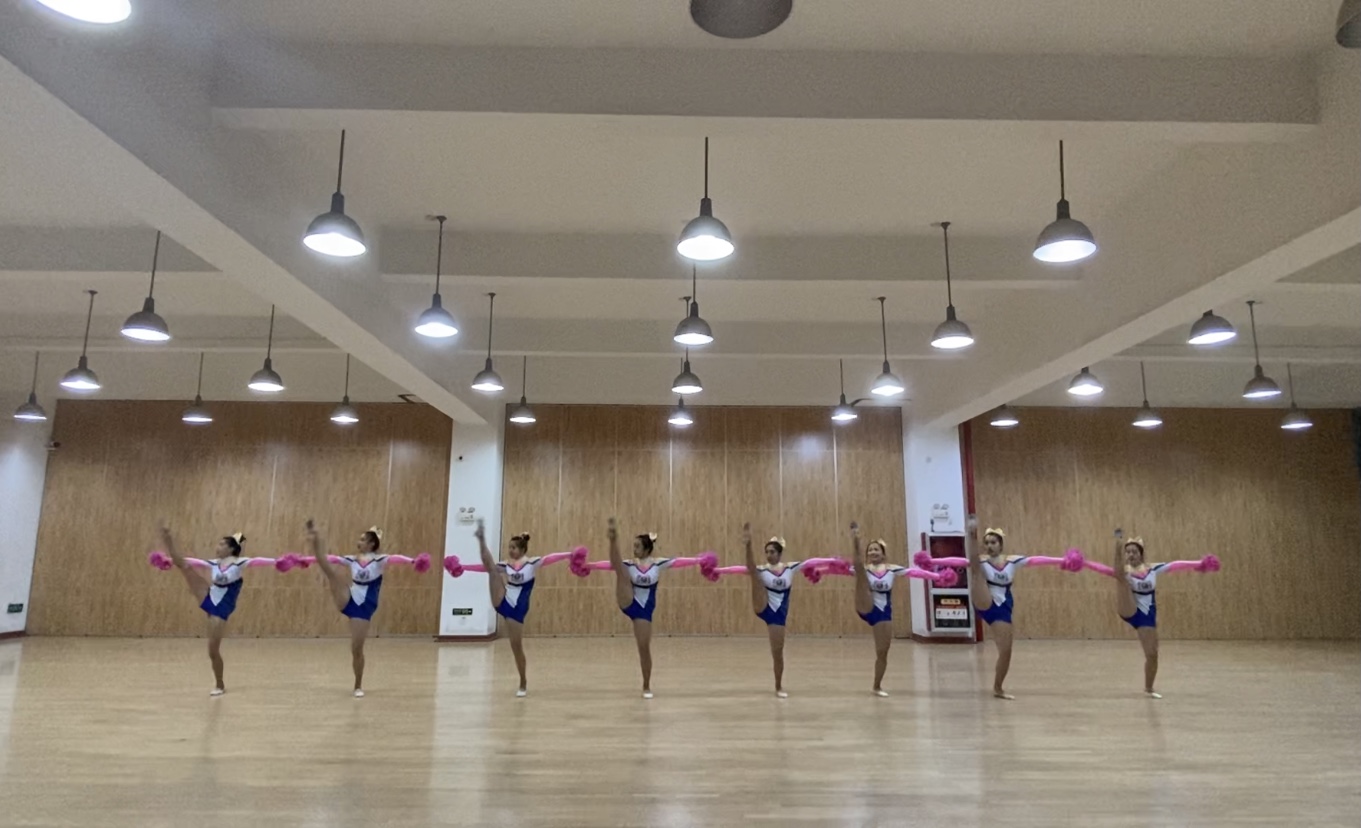 vsport体育欧洲杯