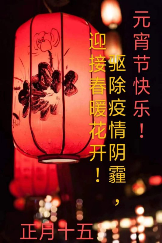 vsport体育稳定线路图片