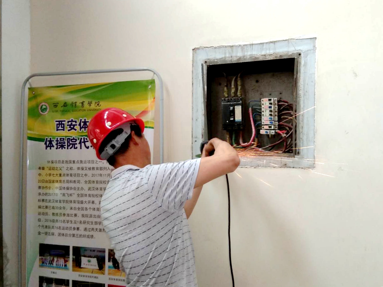 vsport体育平台图片