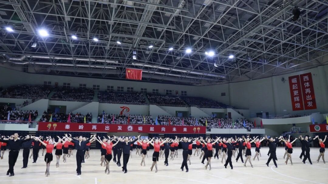 vsport体育稳定线路图片