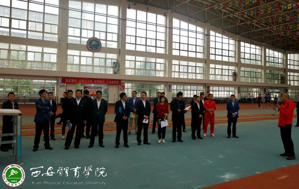 vsport体育安全通道图片