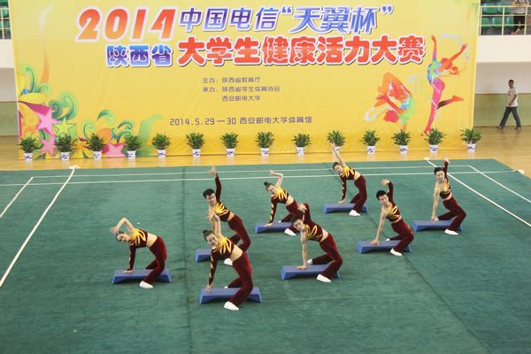 vsport体育官方线路
