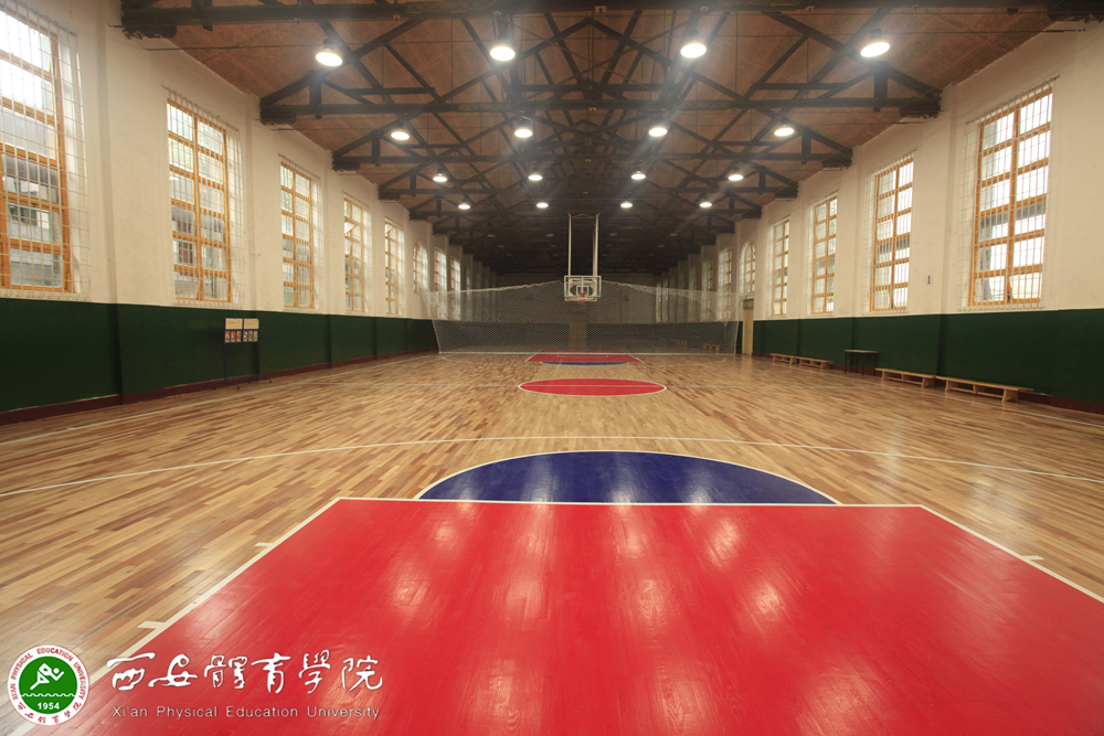 vsport体育手机版图片